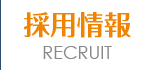 採用情報